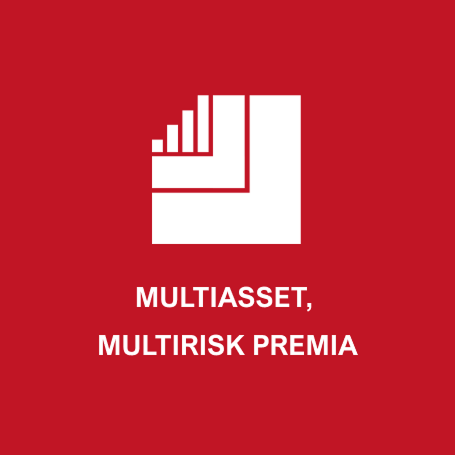 Multiasset, Multirisk Premia